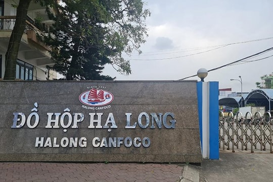 Khởi tố, bắt tạm giam 9 đối tượng liên quan vụ 120 tấn thịt lợn nhiễm bệnh "nằm kho" CTCP Đồ hộp Hạ Long