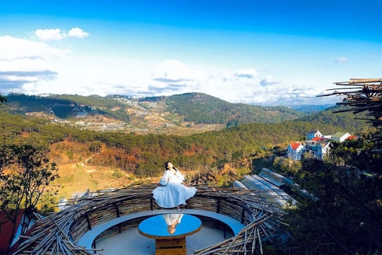 1 thành phố đang được tìm kiếm nhiều nhất mùa Tết năm nay: Sắp có lễ hội mai anh đào kéo dài tới 10 ngày