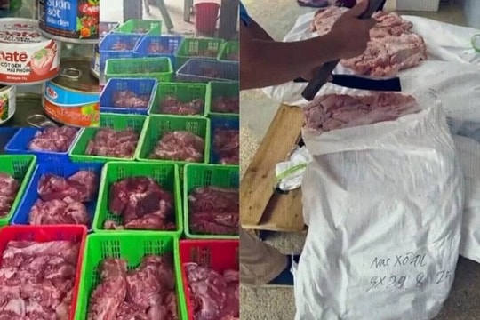 Vụ 120 tấn thịt lợn dịch tả: Lộ diện 9 bị can bị khởi tố, Đồ hộp Hạ Long tuyên bố "Công ty chỉ là bên có liên quan"