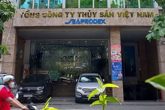 Novaland trở thành cổ đông lớn gián tiếp của Đồ hộp Hạ Long giữa biến cố 120 tấn thịt nhiễm dịch tả lợn