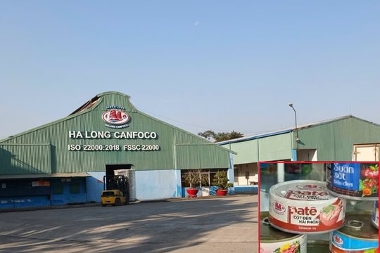 Nóng: Bắt khẩn cấp Tổng Giám đốc Đồ hộp Hạ Long