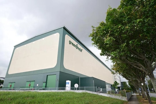 'Chung cư trồng rau' cao nhất thế giới ngay gần Việt Nam: rộng 2ha, công suất 2.000 tấn rau/năm, vận hành chỉn chu ngang nhà máy công nghệ cao