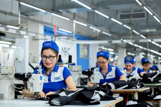 Năm 2025 Việt Nam có hơn 52 triệu người có việc làm