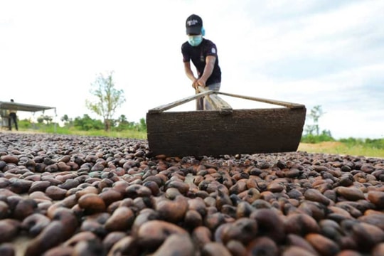 Việt Nam vừa lập kỷ lục chưa từng có với mặt hàng xuất khẩu top 1 thế giới, Trung Quốc và Mỹ có đóng góp lớn