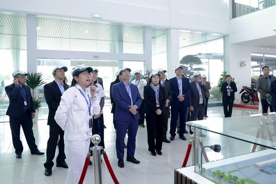 Chiếm 83% thị phần xe máy, Honda Việt Nam muốn được hỗ trợ sản xuất, sử dụng xe thân thiện môi trường