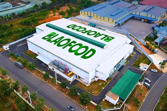 Công ty Việt Nam đầu tiên xuất khẩu nông sản đông lạnh ra thế giới chốt ngày chào sàn HOSE,  giá tham chiếu 40.900 đồng/cp