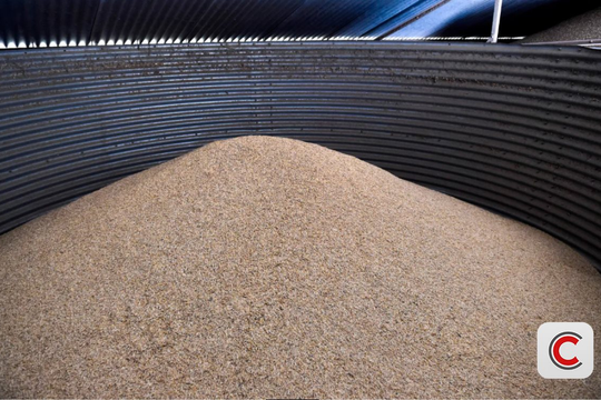 Nhiều quốc gia ráo riết dự trữ ngũ cốc, đổ hàng chục tỷ USD xây kho tích trữ lương thực