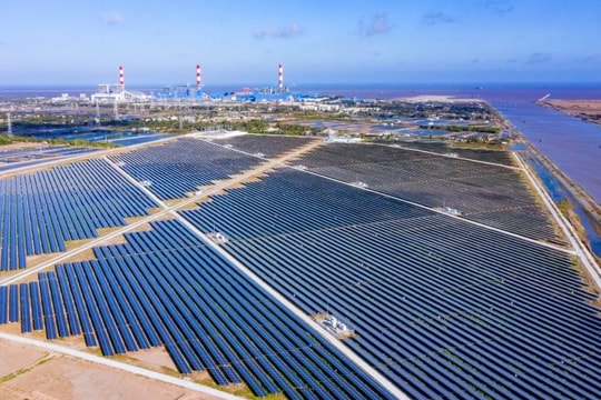 Công ty điện mặt trời của “đại gia” Nguyễn Tâm Thịnh bị xử phạt vì “ém” thông tin tài chính và trái phiếu