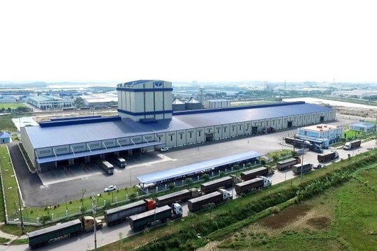 Nông nghiệp Hòa Phát (HPA) tiến một bước quan trọng đến mục tiêu niêm yết HoSE