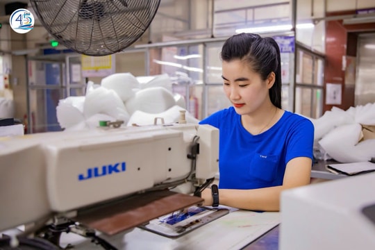 Nhờ đâu TNG đạt lợi nhuận quý 4 tăng 50% so với cùng kỳ?