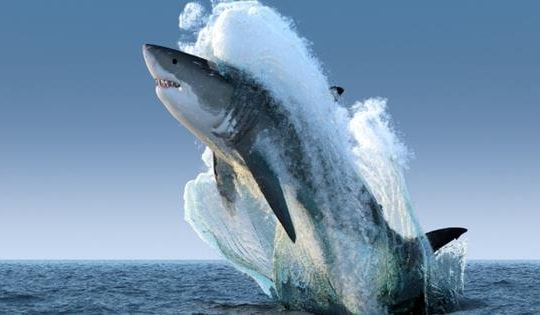 Giám đốc Đầu tư VinaCapital hé lộ hai nhóm cổ phiếu từng bị “bỏ quên” năm 2025 sẽ có "đất diễn" trong năm nay