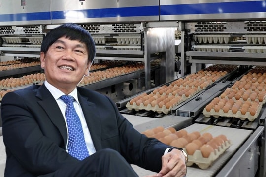 Hòa Phát bất ngờ thoái bớt vốn công ty nông nghiệp trước thềm niêm yết