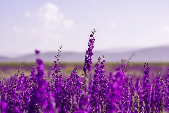 Một cổ phiếu chứng khoán "bốc đầu" kịch trần sau khi báo lãi năm 2025 gấp 860 lần