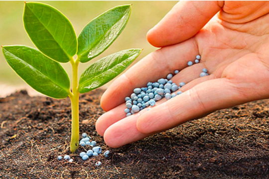 Cổ phiếu phân bón bứt phá, VN-Index giằng co mất gần 3 điểm cuối phiên