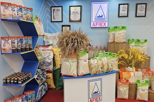 Lên HoSE, AFIEX báo lãi tăng mạnh trong năm 2025