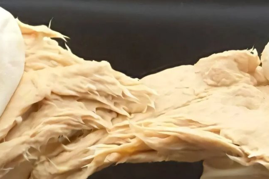 Phát minh của Trung Quốc làm rung chuyển ngành thực phẩm: Chế tạo ra nấm biến đổi gen vị giống thịt, sử dụng ít hơn 70% đất so với chăn nuôi truyền thống