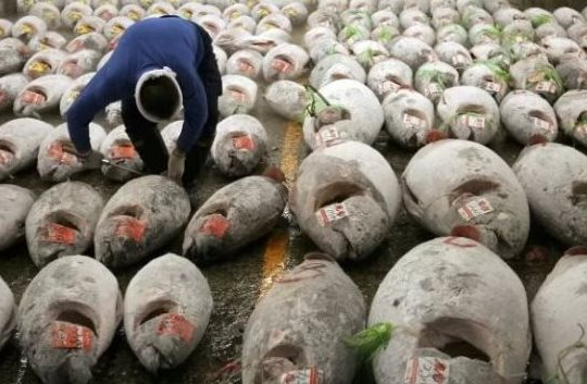 Không phải sầu riêng, một ‘siêu thực phẩm’ của Việt Nam được Mỹ và châu Âu cực ưa chuộng: Thu về 924 triệu USD, nước ta xuất khẩu đứng top thế giới
