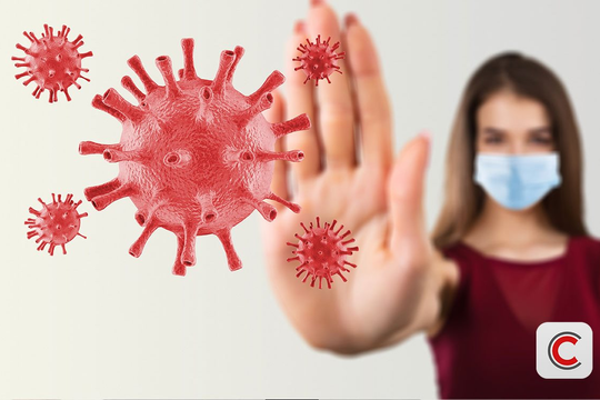 Virus Nipah trong thực phẩm hữu cơ: Những điều cần biết để tránh nhiễm bệnh