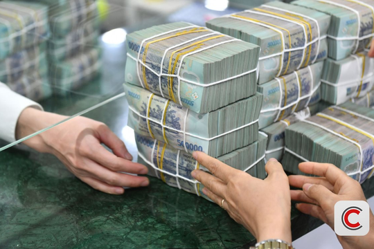 TS. Lê Xuân Nghĩa: Đừng sợ bị gọi là đầu cơ