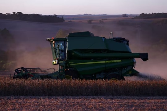 Trung Quốc vẫn chọn đậu tương Brazil dù Mỹ nối lại xuất khẩu, giá và thuế khiến Mỹ lép vế