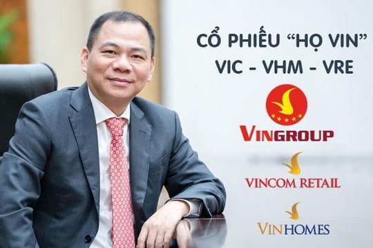 Chuyện gì đang xảy ra với nhóm Vingroup?