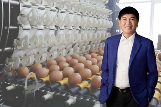 Nông nghiệp Hòa Phát của tỷ phú Trần Đình Long lãi 1.600 tỷ đồng trong năm 2025