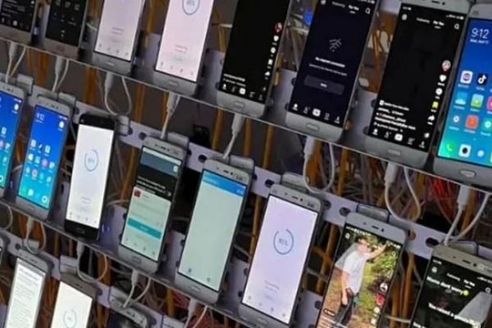 'Kiếm' hơn 50 tỷ đồng từ hàng trăm người nhờ 'chăm' xem livestream, 11 thanh niên bị công an bắt giữ