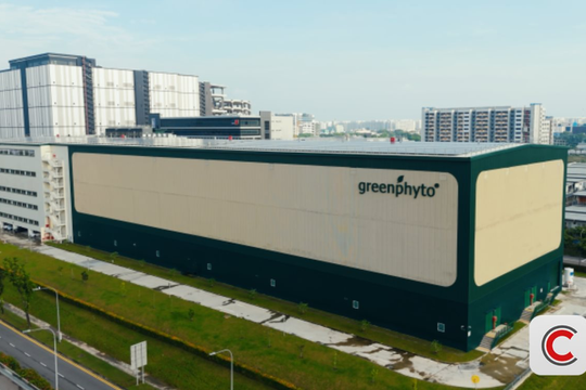 Kỳ tích của 1 'trùm nông nghiệp' ĐNÁ: Xây trang trại trong nhà cao nhất thế giới, công suất 2.000 tấn rau/năm, robot tự gieo hạt, chỉnh nhiệt 