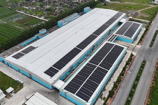 Damsan báo lãi gần 123 tỷ đồng năm 2025, tăng trưởng 89%