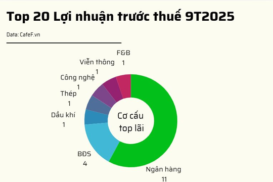 20 DN niêm yết có lợi nhuận trước thuế lớn nhất năm 2025: VinHomes vượt qua loạt ngân hàng giữ vị trí đầu bảng, 2 doanh nghiệp BĐS tăng trên 1.000%