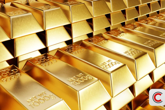 'Trả lại mồ hôi nước mắt của chúng tôi' - Tiếng khóc xé lòng của nạn nhân vụ sập app đầu tư vàng, mất trắng hơn 5 tỷ đồng sau 1 đêm