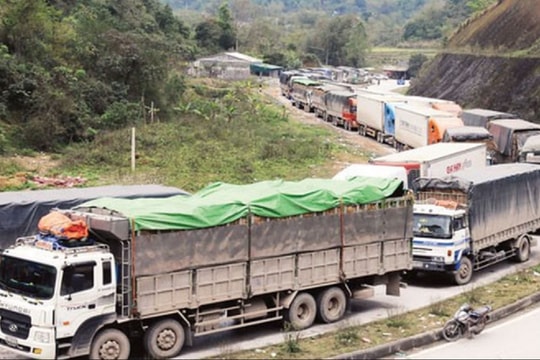 Thủ tướng yêu cầu giải tỏa ách tắc hàng hóa tại cửa khẩu