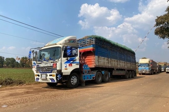 Công điện của Thủ tướng: Ban hành hướng dẫn Nghị định 46 ngay lập tức, báo cáo Chính phủ trước 4/2