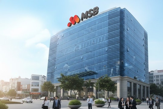 Ngân hàng TMCP Hàng hải Việt Nam MSB không đạt kế hoạch lợi nhuận đề ra