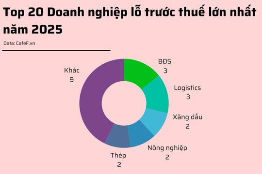20 doanh nghiệp lỗ trước thuế lớn nhất năm 2025: HAGL Agrico lỗ gần 1.000 tỷ, bất động sản, logistics chiếm sóng