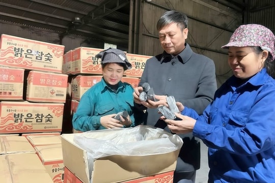 Ông chủ Bắc Ninh thu 40 tỷ đồng/năm nhờ biến cành củi khô thành thỏi 'vàng đen' không khói 