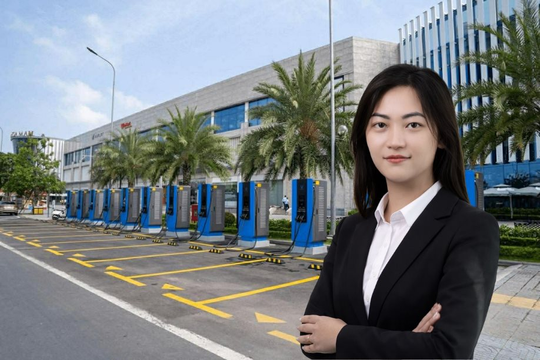 V-GREEN bổ nhiệm Chủ tịch Hội đồng Quản trị mới