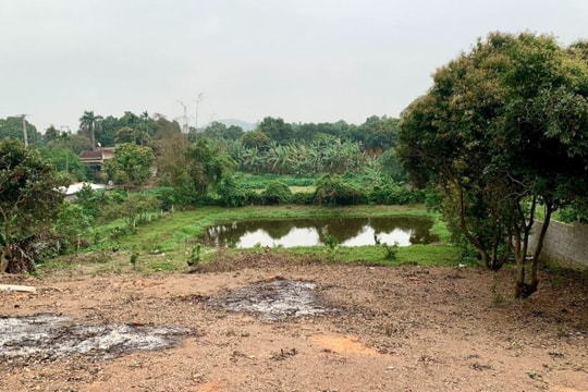 Bộ NN&MT phản hồi về việc xin “lên thổ cư” 500m2 đất vườn mua giấy tờ xã từ năm 1995