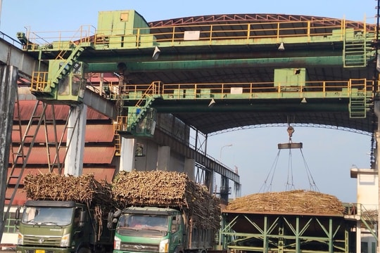 Hai doanh nghiệp bị UBCKNN xử phạt vì không công bố thông tin