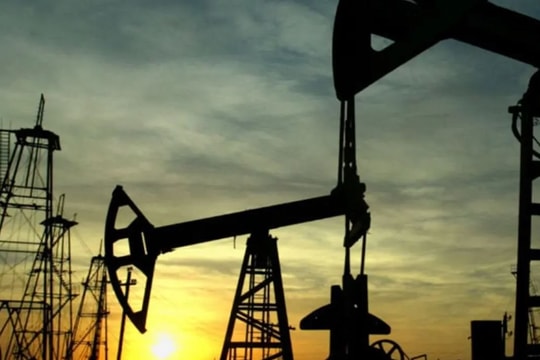 Thị trường ngày 15/2: Áp lực cổ phiếu công nghệ, dầu và vàng đều phục hồi nhẹ, ca cao chạm đáy nhiều năm