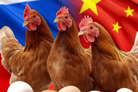 Chứng kiến hiện tượng chưa từng có với Trung Quốc, Nga đưa ra cảnh báo