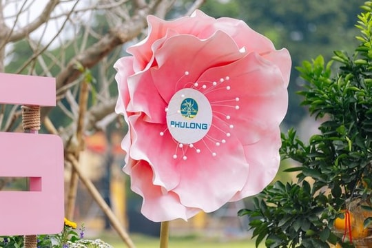 Từ Hà Nội đến TP.HCM: Phú Long và dấu ấn văn hóa trong mùa xuân hội nhập