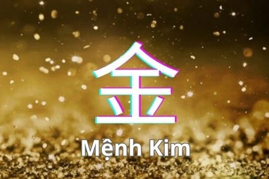 Nhà đầu tư mệnh Kim kỳ vọng gặp nhiều hỗ trợ trong năm Bính Ngọ, "ba chữ cái" nào sẽ toả sáng?