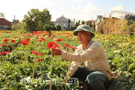 Anh nông dân lãi 1,2 tỷ đồng từ loài hoa hễ hé nụ là có người tới "cướp"