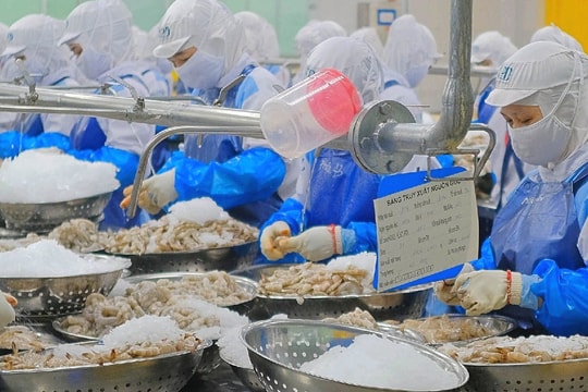 Thoát mức thuế "hủy diệt" từ Mỹ, một cổ phiếu thủy sản "bung nóc": Có thể lãi gấp đôi chỉ sau một đêm?