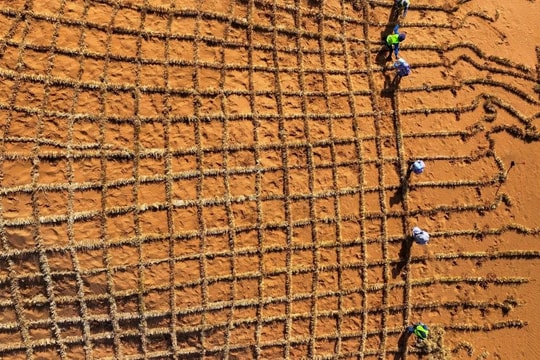 Phát minh chưa từng có trên thế giới của Trung Quốc: biến sa mạc thành đất màu mỡ chỉ trong 10 tháng, hiệu quả cao nhưng chi phí thấp