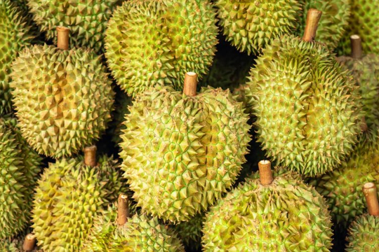 Giá sầu riêng Việt Nam lập đỉnh trong 3 năm, chuyện gì đang xảy ra?