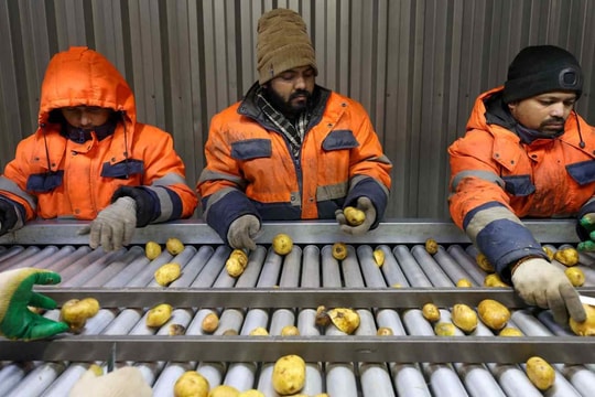 Nền kinh tế vừa soán ngôi Nhật Bản đang cứu Nga 'một bàn thua' giữa cuộc xung đột với Ukraine