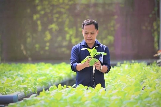 Anh kỹ sư lập trình bỏ phố về quê, xây 'resort 5 sao' cho rau, thu hút 10.000 người đến