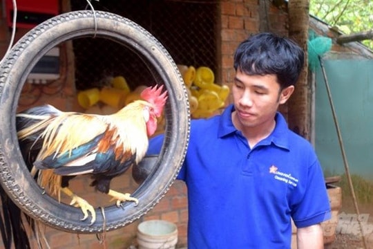 Bỏ phố về quê nuôi loài chim quý hiếm, anh kỹ sư thu lãi 1 tỷ đồng/năm